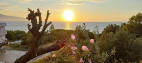 Views of Vlore - Acquafredda